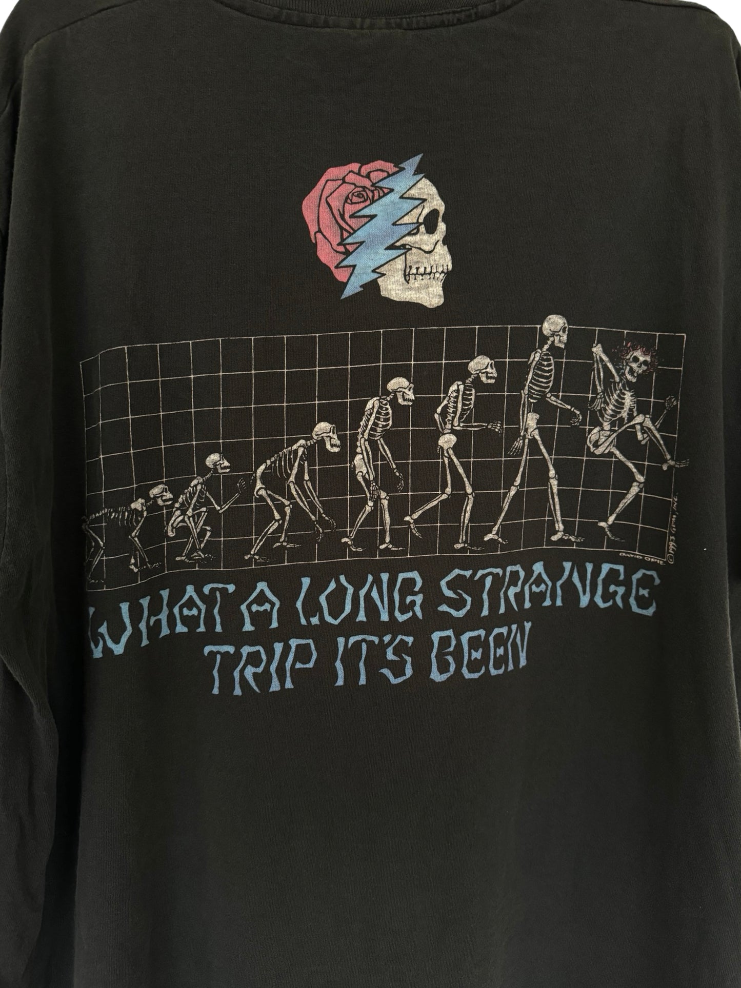 Grateful Dead Strange Trip 1993