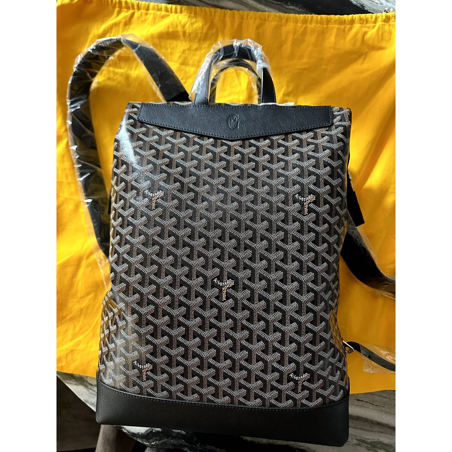 Goyard Cisalpin Backpack Black Leather